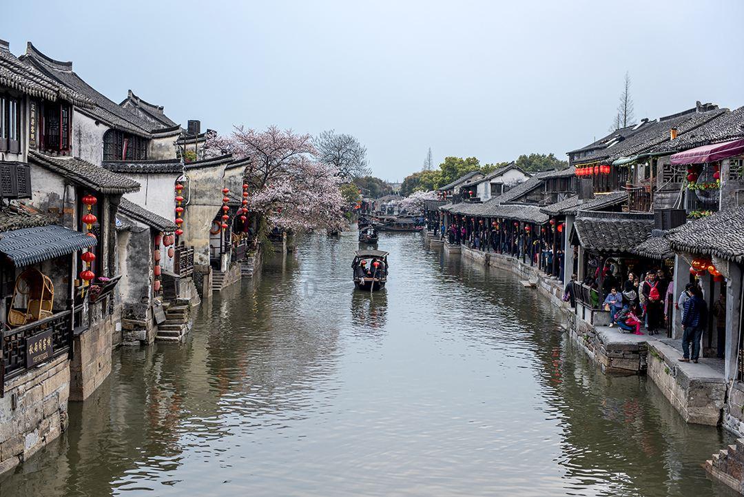 奇妙恐龙世界